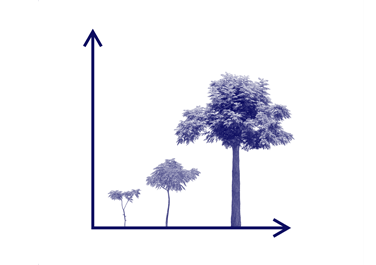 A graph showing trees growing